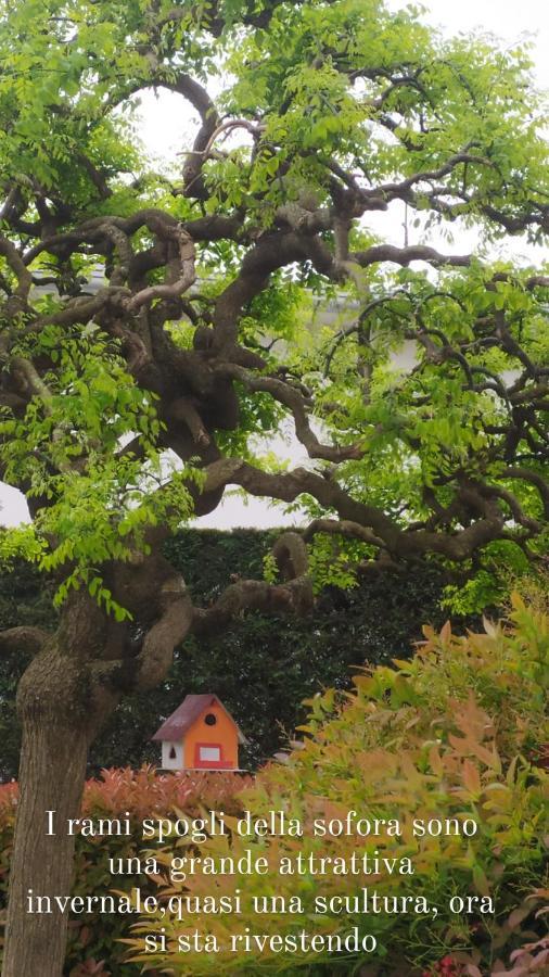Casalserugo Al Casale B&B المظهر الخارجي الصورة