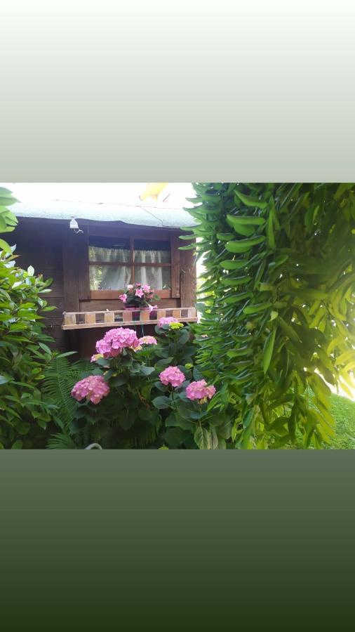 Casalserugo Al Casale B&B المظهر الخارجي الصورة